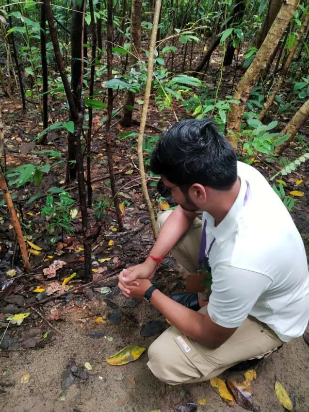 Planting during the LCOY field visit.