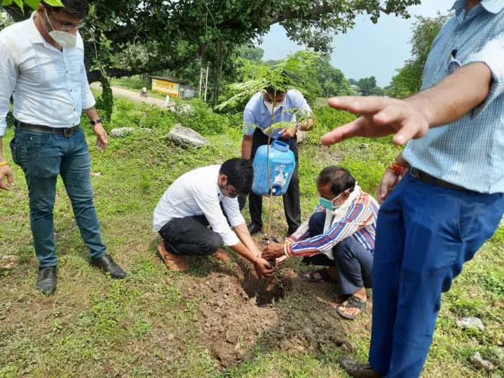 Tree plantation drive in Indore